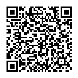 差不多有五十多万的华人生活在那片区域从事着各种各样的营生和产业二维码生成