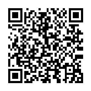 差宗宝拿着两个瓷碗去盛了两碗大米放在挪到一边的茶几上二维码生成