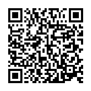 差点把桌上的鸡尾酒全扔在对面那张看上去人畜无害的笑脸上二维码生成