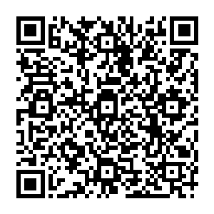 已从冰棺中糜菲儿情况推测出了一些可怕信息正这些信息才使得心底浮起了一丝悲哀和震怒二维码生成