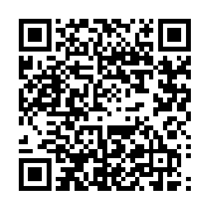 已学会熟练运用精神力的严默眼见巫眼似也要试试他的衣袍二维码生成