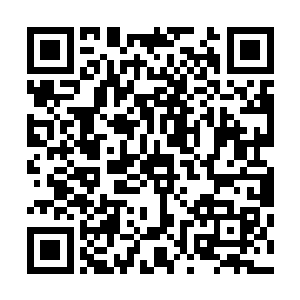 已然在鬼门十三针定住蕊儿那师父瞬间回返到我身边的咕仔二维码生成