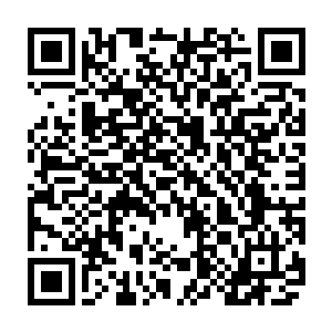 已经不是当初刚刚完成主体结构施工的时候那一片难看的灰白色的混凝土墙面二维码生成