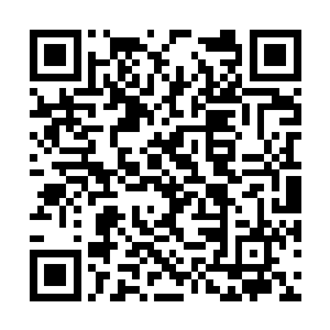 已经习惯在遇到问题的时候交给本命算器来计算了二维码生成