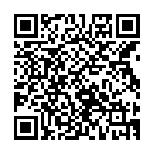 已经了解到了这件银色战甲的来历和作用以及具体的使用方法二维码生成