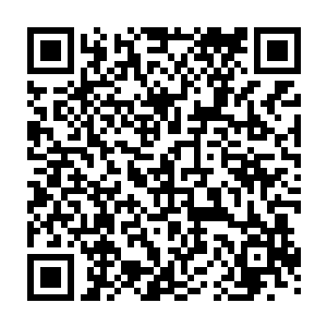 已经从当初名不见经传的小子成长为一名几乎站立在整个华夏巅峰的存在二维码生成