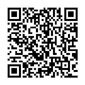 已经从看见那么多和自己一模一样的人的震惊中稍微冷静下来了二维码生成