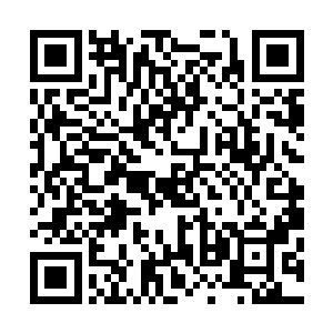 已经从美色中清醒过来了联队长和赵虎咸咸淡淡的说上几句二维码生成