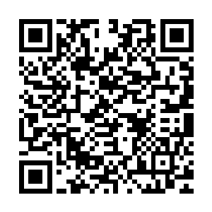 已经令猎人成为天启组织中最令方舟基金会头痛的几名强敌之一二维码生成