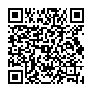 已经准备有所动作的凤羽珩又把微抬的手放了下去二维码生成