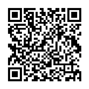 已经出现在了妖魔海域和深渊海域交界地带的沉水水域边缘二维码生成