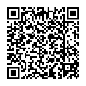 已经占据了绝对优势的华夏革命军也会在今天夜间将日军完全击溃二维码生成
