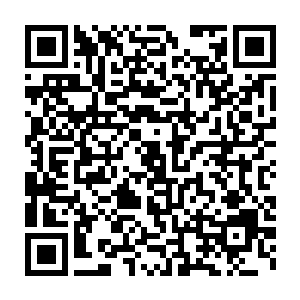 已经和张铁混得很熟的几个二中的家伙又跑了过来看那上面的数字二维码生成