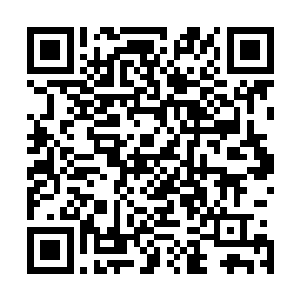 已经在他身后的苏落对准他庞大的屁股就是一脚踹过去――二维码生成