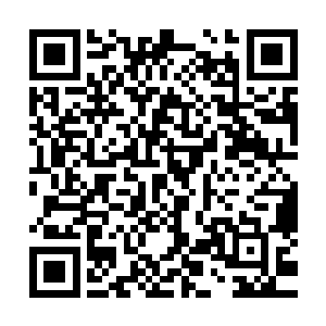 已经在安家手上吃过亏的秦家断然不会再傻到用胳膊去绊大腿二维码生成