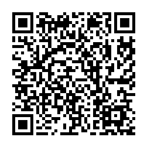 已经坐到一旁的天台上休息的流墨墨看着泡脚泡的精神奕奕的安陵二维码生成