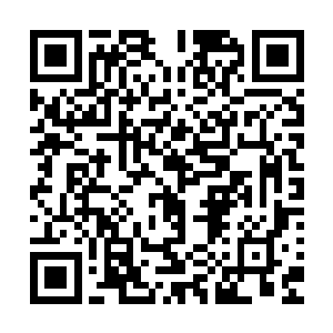 已经学会了圆滑地处理案件――只有这样才能在社会生存下去二维码生成