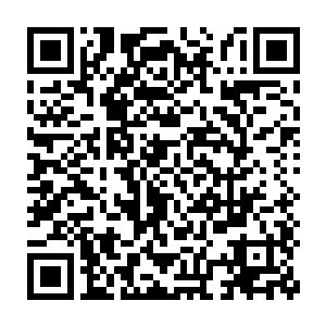 已经完全确定了瑞金和黑鱼只是为了保护天翼神虎才跟随着自己的二维码生成