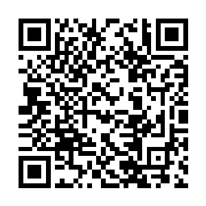 已经完全被林烽和苏紫萱刚才的合唱表演给征服了二维码生成