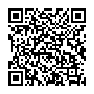 已经将一个真实分身死死压在身上的愤怒也不由得眼神一凝二维码生成