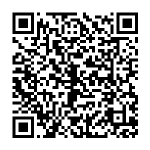 已经将雷林脸上的伤势自动归类到与火焰王座对拼的后遗症上面了二维码生成