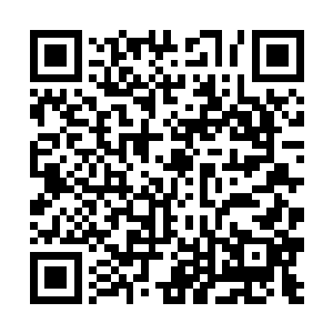 已经成为了门派和家族的最高战力和压箱底的存在了二维码生成