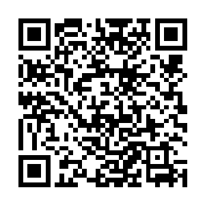 已经是完全超越了系统安排给玩家的任何技能与道具了二维码生成