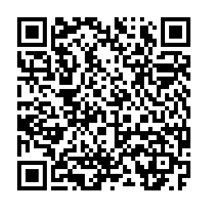 已经有不少国家的运动员因为担心被塞卡病毒感染而拒绝了参加本次奥运会二维码生成