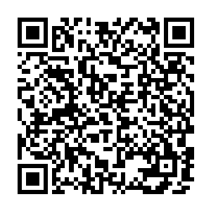 已经杵在门口的吕小北木讷着表情为白云中开门让白云中进入白伶儿住所二维码生成