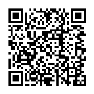 已经栖身于修真者低阶层次的他们更加明白修真界的残酷二维码生成