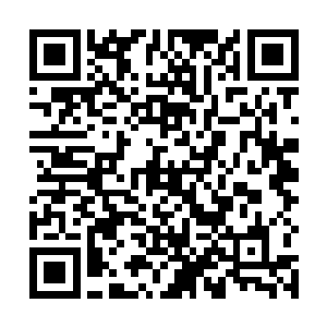 已经用不着去做着急在谁的面前表功之类的幼稚事情了二维码生成