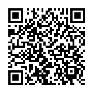 已经被打击得不行的鬣族战士全都不敢相信自己刚才看到了什么二维码生成