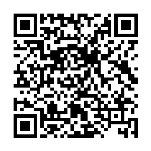 已经触碰在木头枪托上的手指就离开抓住旁边一叠弹匣二维码生成