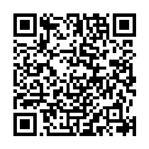 已经走到电梯门口的苏凡嘴里却忽然冒出了这样的一个词二维码生成