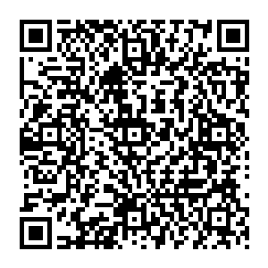 已经足够让艾斯基尔城的绝大多数普通民众和警察在看到通缉令的时候心跳加速瞪大眼睛就是了二维码生成