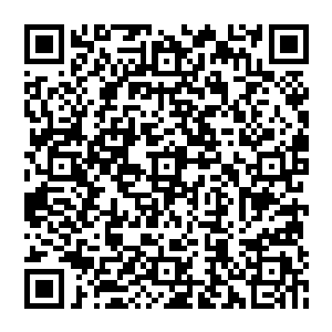 已经跑过的小马克西姆连忙提着一把厨刀冲过去从另一名同伴手下抢着捡起那支还没击发的m16步枪二维码生成