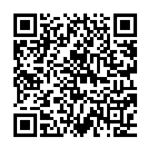 已经过去好几个月的时间・再加上楚暮又经常待在房间之内修炼二维码生成