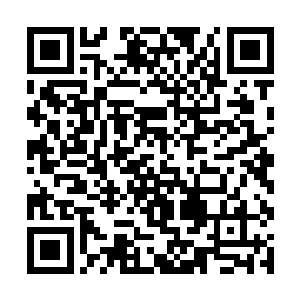 已经违反了我们商家城的城规第三章第二十五条……二维码生成