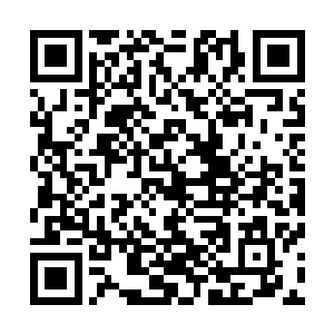 已经造成了起码千万级别的死亡……已经有人将你称为新的二维码生成