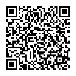 巴克下袭的手被结实修长的大腿用硬壳特种护膝撞了一下就不得不偏离二维码生成