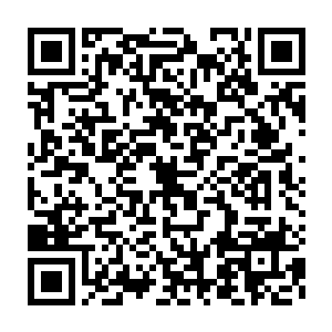 巴克他们现在不太确认的就是自己六人的身份是不是被完全锁定了二维码生成