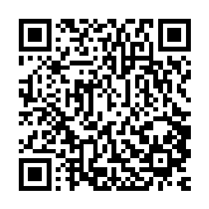 巴克估计也是被牟晨菲这完全不按理出牌的大小姐作风搞得头晕二维码生成