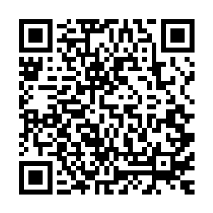 巴克和鬣狗认定对方起码已经上升到了北约二级防护机制标准二维码生成