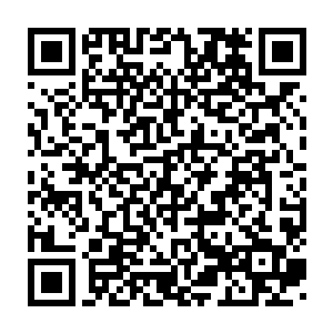 巴克甚至从轮胎的磨损和对地面青草的碾压判断出都是近期在使用的二维码生成
