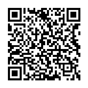 巴尔塔和巴尔巴立刻的再次的换了一件绝世神铠二维码生成
