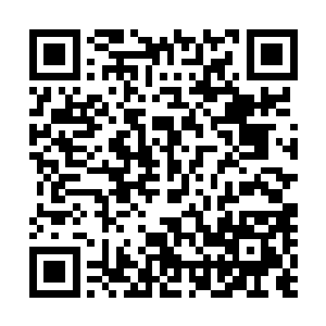 市委书记周天鸿绝对不会放过打击戴宝楠和张兴勇的机会的二维码生成