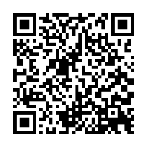 市委政法委是代表市委领导和指导全市政法系统工作的二维码生成