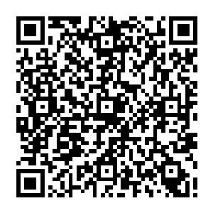 市委里边董建伟和井致中那边陆为民反而觉得可能在这件事情上反对声音不会太大二维码生成