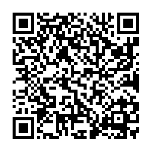 师兄……我家那头赵昱也是尸皇了……这里的就算没开眼……可也是尸皇呀……二维码生成
