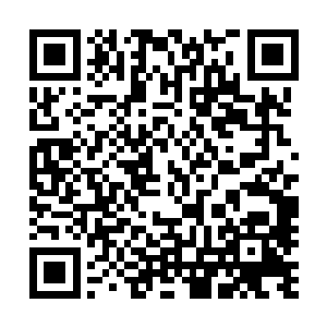 师叔师姐们就先跟我回燕京――我会安顿好你们的生活起居二维码生成